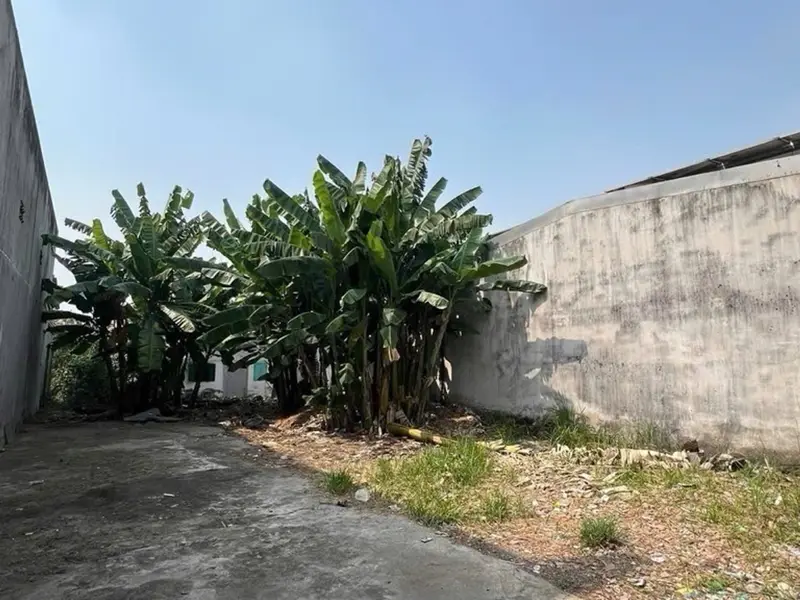 Nhà riêng diện tích rộng tại quận Bình Tân với mặt tiền rộng 11m giá hợp lý... Bán nhà riêng tại Tân Tạo, Hồ Chí Minh 01