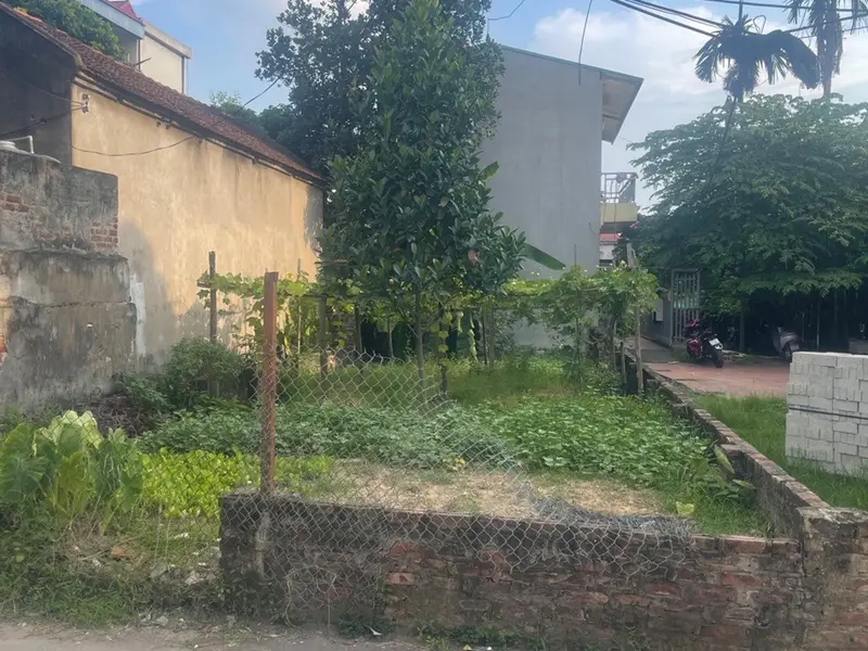 ⭕️ QUANG MINH HÀ NỘI FULL THỔ CƯ 120,5M² LÔ GÓC Ô TÔ 7 CHỖ TRÁNH SH – KINH DOANH Đ. ĐẠI THỊNH HUD... Bán đất tại Quang Minh, Hà Nội 01