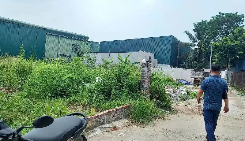 Đất đẹp xã Ninh Sở giá tốt, chốt nhanh còn giảm giá... Bán đất tại Hồng Vân, Hà Nội 01
