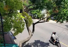 MẶT TIỀN KINH DOANH - KHU VỰC HIẾM BÁN 🌺... Bán nhà mặt phố tại Bình Phú, Hồ Chí Minh 10