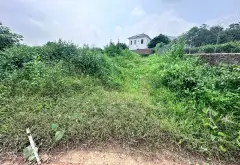 Bán đất phân lô ô tô chạy quanh tại xã Trung Giã, Sóc Sơn, giá đầu tư... Bán đất tại Trung Giã, Hà Nội 06