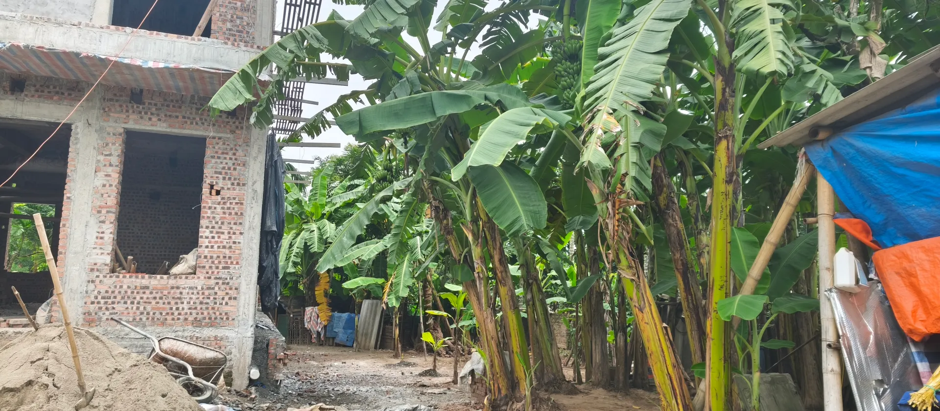 Bác nào thích rộng rãi thoáng mát thì gặp e Thủy lô đất 200m2 tại Lương Bằng Hưng Yên full tiện ích... Bán đất tại Lương Bằng, Hưng Yên 01