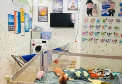 Nhà mặt phố Thống Nhất giá tốt sinh lời ngay... Bán nhà mặt phố tại An Hội Tây, Hồ Chí Minh 06