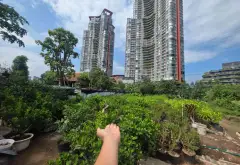 Bán đất lô góc 3 thoáng 158m2 giá 11.5 tỷ tại khu đô thị Ecopark... Bán đất tại Phụng Công, Hưng Yên 02