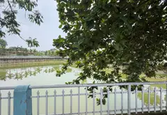 Đất thổ cư mặt đường, sổ đỏ chính chủ, giá hợp lý... Bán đất tại Xuân Cẩm, Bắc Ninh 09