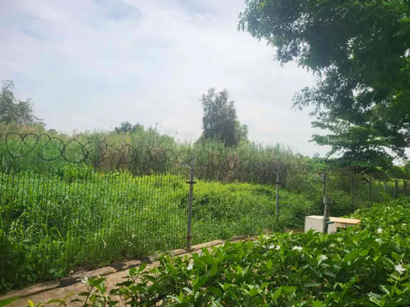 Bán đất mặt tiền Nguyễn Bình, xã Nhơn Đức, Nhà Bè, diện tích lớn 181.3 m2, pháp lý cơ sở... Bán đất tại Hiệp Phước, Hồ Chí Minh 01