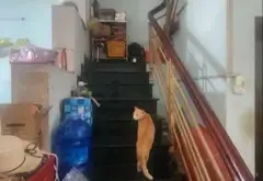 Nhà 2 mặt tiền Bà Điểm, Hóc Môn giá cực sốc 8.5 tỷ... Bán nhà mặt phố tại Bà Điểm, Hồ Chí Minh 08