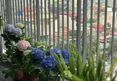 Căn hộ 3 ngủ 2 vệ sinh tại Đền Lừ . Hoàng Mai với thiết kế hiện đại , Giá Chỉ 10 Tỷ... Bán căn hộ chung cư tại Tương Mai, Hà Nội 04