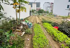 Bán đất phân lô khu đô thị Long Phương Trang Hạ, diện tích 110m², mặt tiền 5.5m... Bán đất tại Đồng Nguyên, Bắc Ninh 02