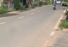 Bán đất vườn 1000m2 phường Long Trường, gần mặt tiền đường Tam Đa... Bán đất tại Long Trường, Hồ Chí Minh 09
