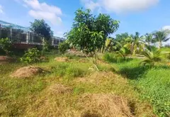 Bán đất rộng 5046m2 hướng Nam, mặt tiền 24m tại xã Vườn Thơm... Bán đất tại Bình Lợi, Hồ Chí Minh 09