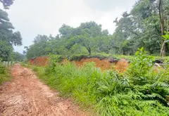 Đất Vàng 4000m² Đẹp Nhất Sóc Sơn - Cơ Hội Vàng Cho Nhà Đầu Tư!... Bán owner_side tại Sóc Sơn, Hà Nội 06