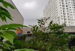 Bán nhà mặt phố Bình Long 278,8 m2 tại khu vực phát triển, giá cạnh tranh... Bán nhà mặt phố tại Phú Thạnh, Hồ Chí Minh 04