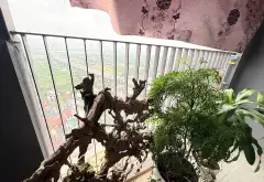 CĂN HỘ GẦN 70M² – NỘI THẤT SANG TRỌNG – CHỈ NHỈNH 6 TỶ – CHÂN CẦU NHẬT TÂN
💰 Giá chỉ nhỉnh 6 tỷ –... Bán căn hộ chung cư tại Vĩnh Thanh, Hà Nội 15