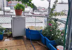 Bán nhà 5 tầng lô góc mặt tiền rộng tại phường 3, quận Gò Vấp... Bán nhà riêng tại Hạnh Thông, Hồ Chí Minh 12