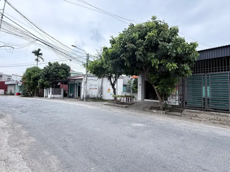 Lô đất mặt đường nhựa đắt giá tại Đồng Tiến - Bàng La, điểm vàng Đồ Sơn... Bán đất tại Đồ Sơn, Hải Phòng 01