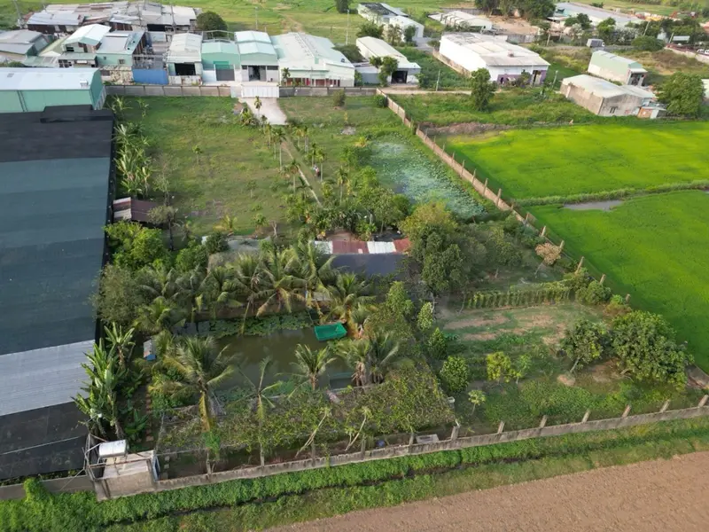 Bán đất hơn 6300m2 có thổ cư tại Xuân Thới Sơn, giá 54 tỷ... Bán đất tại Xuân Thới Sơn, Hồ Chí Minh 01