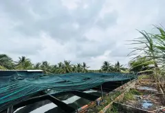 Bán đất nhà vườn 2500m2 mặt tiền 50m tại Bình Chánh giá 8.5 tỷ... Bán đất tại Bình Lợi, Hồ Chí Minh 10