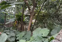 Đất Vàng Thọ Am đường Hoàng Mai - Thiết Kế Theo Phong Cách Riêng... Bán đất tại Nam Phù, Hà Nội 06
