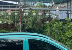 Giảm ngay 1 tỷ - Đất mặt tiền ngay Bệnh viện Bình Tân, cơ hội đầu tư vàng... Bán đất tại Bình Trị Đông, Hồ Chí Minh 03
