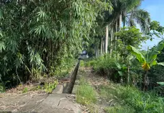Bán đất mặt tiền lớn diện tích to giá rẻ vị trí khu UY NỖ tiện ích ngập lối 302 m giá dưới 2 tỏi... Bán đất tại Đông Anh, Hà Nội 08