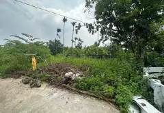 Đất Phân Lô Ô Tô Làn Rộng Khu Vực Hiếm Đông Dân Cư Tại Thị Trấn... Bán đất tại Thủy Nguyên, Hải Phòng 03