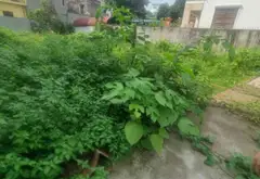Bán đất Phúc Lợi Long Biên ô tô gần, diện tích 38.2m², pháp lý rõ ràng... Bán đất tại Phúc Lợi, Hà Nội 02