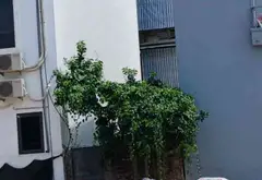 Cơ Hội Vàng Sở Hữu Đất Vị Trí Vàng Gần Gamuda, Ô Tô Lùi Vào Tận Nơi... Bán đất tại Lĩnh Nam, Hà Nội 02