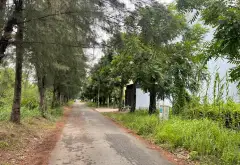 Bán đất 95.4m2 tại Phong Phú, Bình Chánh 0948769331... Bán đất tại Bình Hưng, Hồ Chí Minh 03