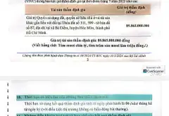 Bán nhà mặt Phố Bà Điẻm, 2 tầng 1735m2 mặt tiền 64m... Bán nhà mặt phố tại Bà Điểm, Hồ Chí Minh 10