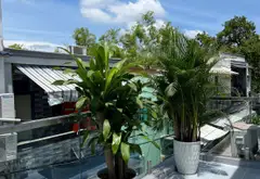 ĐƯỜNG CHIẾN LƯỢC - GẦN TỈNH LỘ 10 - BÌNH TÂN... Bán nhà riêng tại Bình Trị Đông, Hồ Chí Minh 07