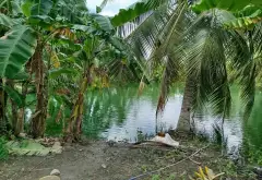 Đất rộng mặt tiền đường T11 Bình Chánh giá tốt... Bán đất tại Bình Chánh, Hồ Chí Minh 08