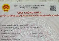 117m2 Full Ở Ngay Nhà Đẹp Lê Đức Thọ Ngang 5.2 m Ô tô ngủ trong nhà giá 8.X tỷ... Bán nhà riêng tại An Hội Tây, Hồ Chí Minh 03