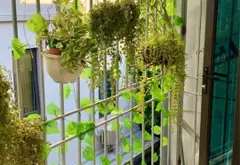Tầng 3 Tập thể Bê Tông Chèm ngõ 104B Thuỵ Phương 23/80m2 2.65 tỷ... Bán căn hộ chung cư tại Đông Ngạc, Hà Nội 08