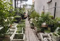 🌿 MỘT GÓC NHÀ VƯỜN YÊN BÌNH GIỮA THỚI TAM THÔN... Bán nhà riêng tại Đông Thạnh, Hồ Chí Minh 07