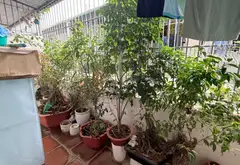 Căn nhà Ngô Gia Tự cực đẹp ô tô đỗ cổng. 3 ngủ thiết kế tối ưu.... Bán nhà riêng tại Việt Hưng, Hà Nội 03