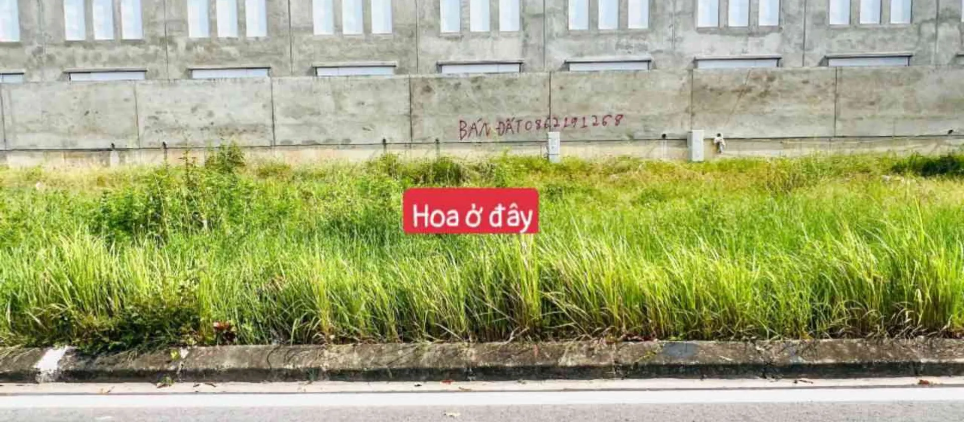 Đất đẹp KĐT Vigracera, Yên Phong, tiềm năng lớn... Bán đất tại Tam Đa, Bắc Ninh 01
