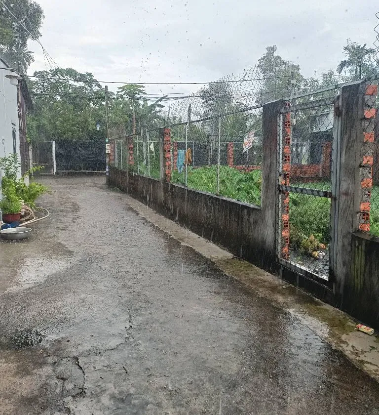 Bán đất thổ cư gần Đỗ Văn Dậy, Tân Hiệp, Hóc Môn, diện tích 93.5 m2... Bán đất tại Hóc Môn, Hồ Chí Minh 01
