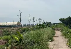 Đất vàng Văn Giang, mặt tiền 17m siêu tiềm năng... Bán đất tại Văn Giang, Hưng Yên 05