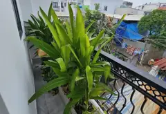 Bán nhà 2 tầng - Tỉnh lộ 10 - Bình Tân - DTSD: 80m²... Bán nhà riêng tại An Lạc, Hồ Chí Minh 04