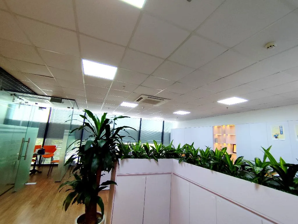 Chân toà chung cư, toàn bộ mặt sàn tầng 2
Khu Đô Thị Mới Tây Hồ Tây, định danh, văn phòng đẳng cấp... Bán căn hộ chung cư tại Xuân Đỉnh, Hà Nội 01