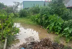 Đất phân lô ô tô đỗ ngay cửa khu vực đông dân cư sinh lời vượt trội... Bán đất tại Dương Kinh, Hải Phòng 07