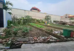 Bán đất 51.3m² tại phường An Bình, Thuận Thành, Bắc Ninh, vị trí đắc địa... Bán đất tại Mão Điền, Bắc Ninh 03