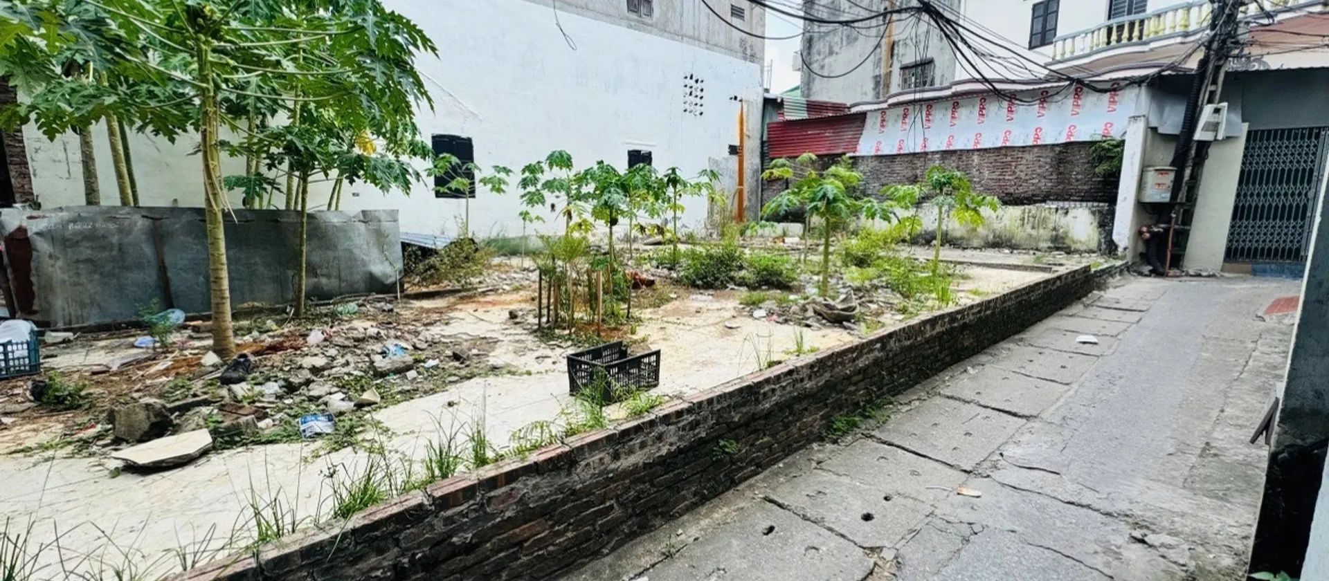 Cơ Hội Vàng Sở Hữu Lô Góc Đất Tại Phường Đồng Nguyên, Bắc Ninh... Bán đất tại Đồng Nguyên, Bắc Ninh 01