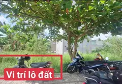 Bán đất 50m² phường Long Phước giá 2,5 tỷ chính chủ... Bán đất tại Long Phước, Hồ Chí Minh 06