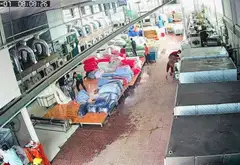 Xưởng may Võ Văn Bích - Dòng tiền cho thuê 50tr/tháng, giá siêu ưu đãi... Bán kho, nhà xưởng tại Bình Mỹ, Hồ Chí Minh 05