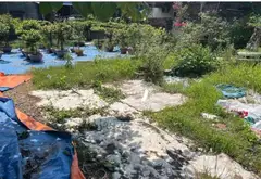 Lô đất hiếm tại Thôn 3 Thiên Hương – Cơ hội vàng cho nhà đầu tư và xây dựng kinh doanh... Bán đất tại Thiên Hương, Hải Phòng 01