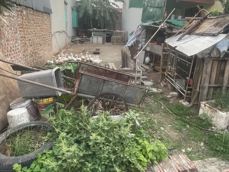 Đất thổ cư 93,7m² tại Sóc Sơn, đường ô tô tránh, tiện lợi kết nối... Bán đất tại Sóc Sơn, Hà Nội 01