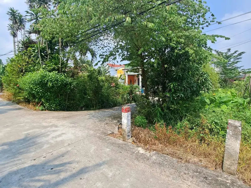 Bán đất mặt tiền rộng 16m tại An Hạ, giá tốt... Bán đất tại Vĩnh Lộc, Hồ Chí Minh 01