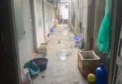 Cơ Hội Hiếm Có Sở Hữu Nhà Riêng Kèm Dòng Tiền Ổn Định Tại Thôn 6 Tân Dương... Bán nhà riêng tại Thủy Nguyên, Hải Phòng 04
